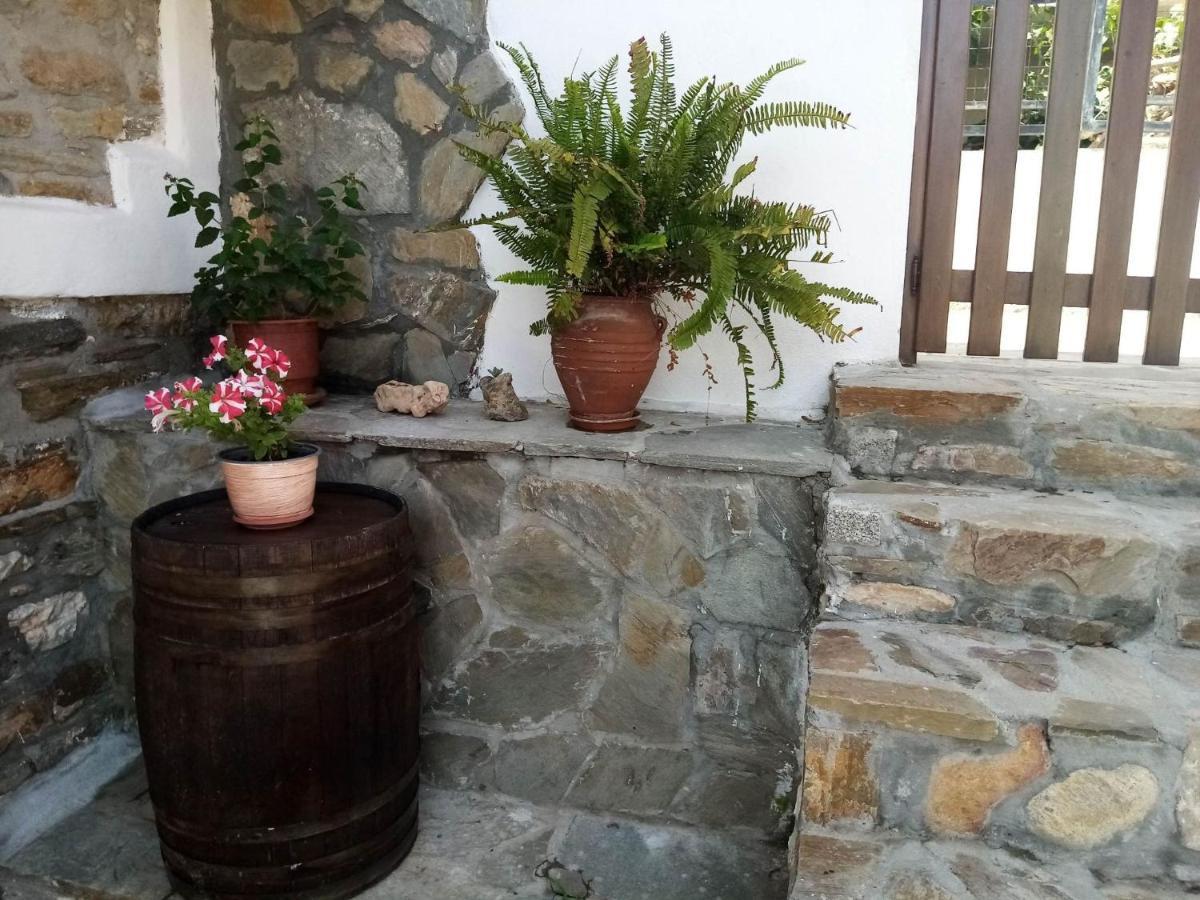 Petrino1880 Sea-Vacation Apartment In Chalkidiki Agios Nikolaos  Exterior foto