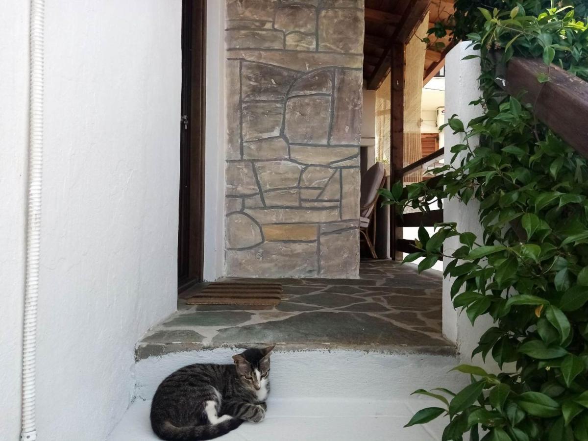 Petrino1880 Sea-Vacation Apartment In Chalkidiki Agios Nikolaos  Exterior foto
